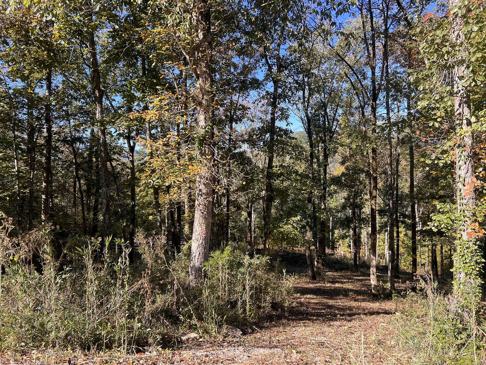 1.1 Acres of Residential Land for Sale in Smithville, Tennessee