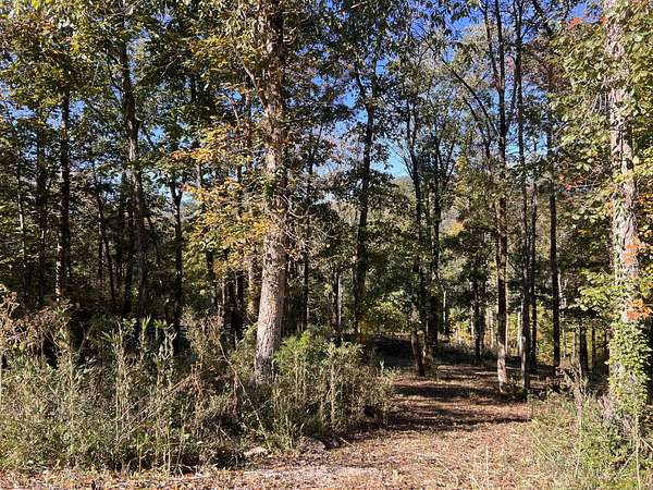 1.1 Acres of Residential Land for Sale in Smithville, Tennessee