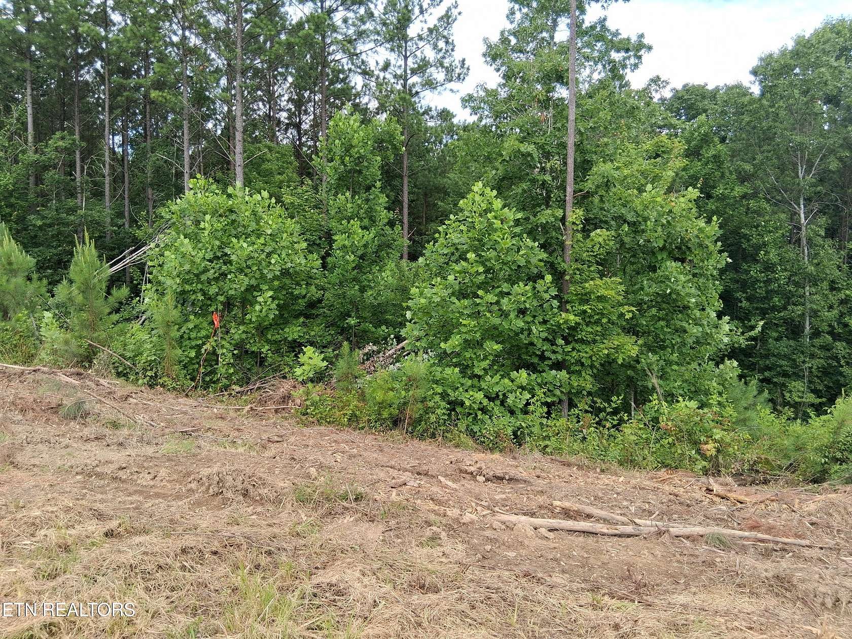 5.1 Acres of Land for Sale in Dunlap, Tennessee