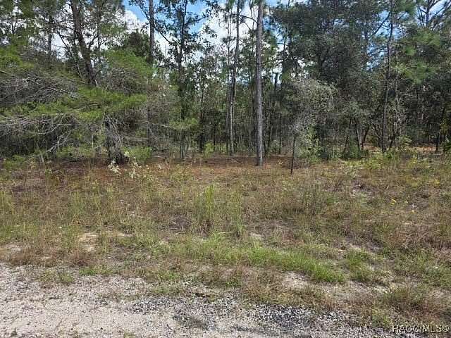 0.29 Acres of Residential Land for Sale in Citrus Springs, Florida
