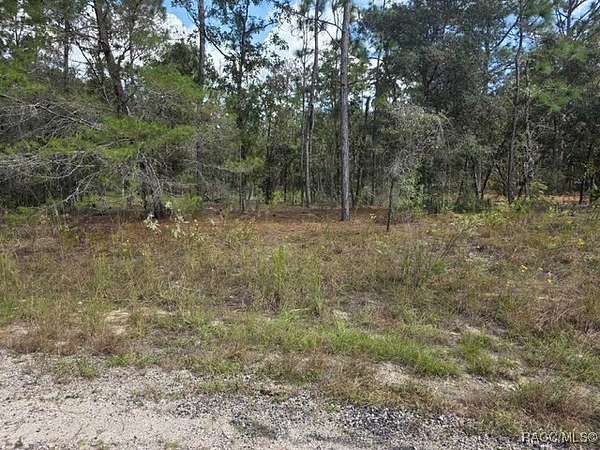 0.29 Acres of Residential Land for Sale in Citrus Springs, Florida