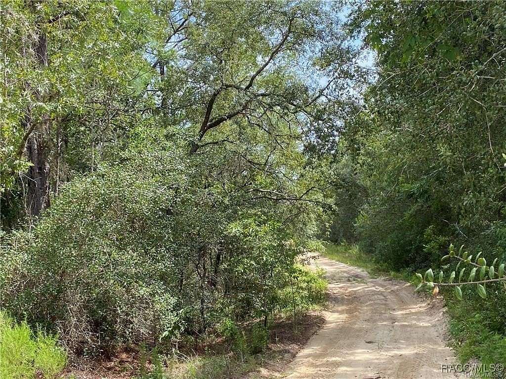 0.16 Acres of Residential Land for Sale in Inverness, Florida