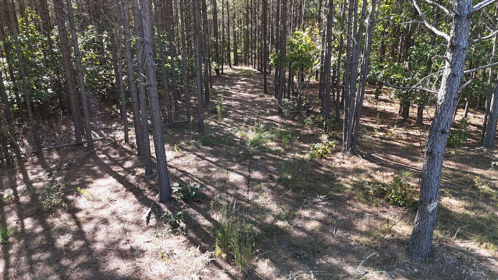 13 Acres of Land for Sale in Hohenwald, Tennessee