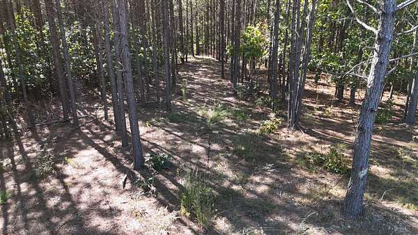 13 Acres of Land for Sale in Hohenwald, Tennessee