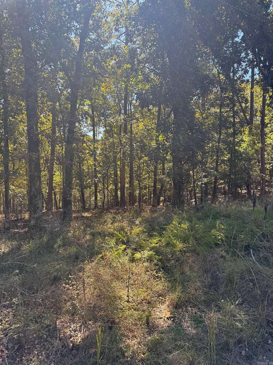 0.4 Acres of Residential Land for Sale in Malvern, Arkansas