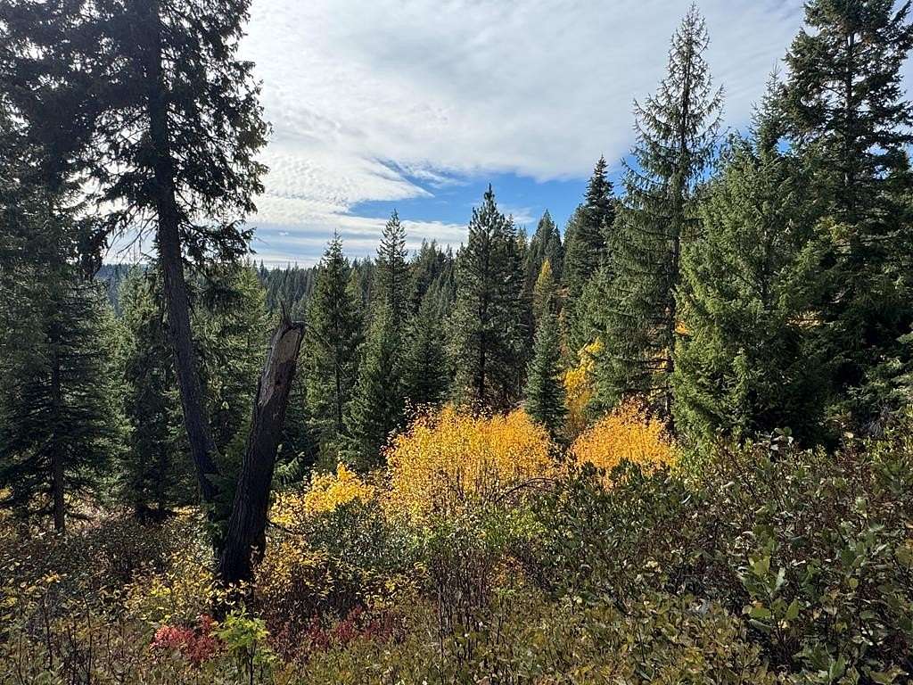 67.2 Acres of Recreational Land for Sale in Donnelly, Idaho
