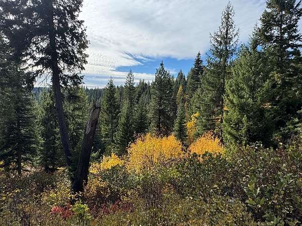 67.2 Acres of Recreational Land for Sale in Donnelly, Idaho