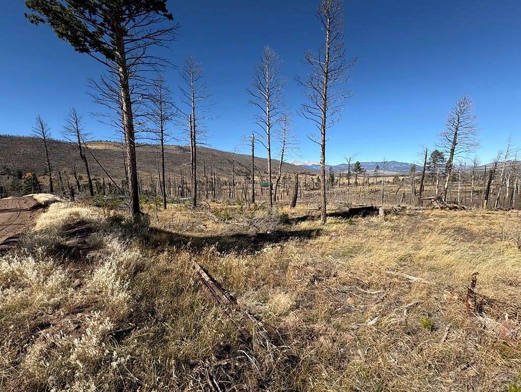 1.4 Acres of Residential Land for Sale in Fort Garland, Colorado