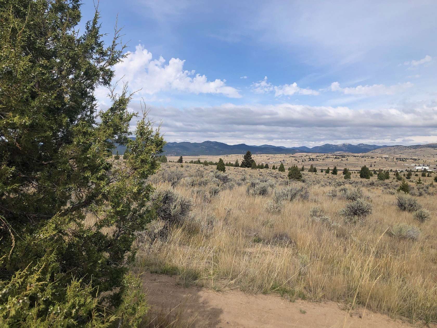 203 Acres of Agricultural Land for Sale in Butte, Montana