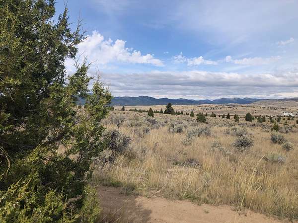 203 Acres of Agricultural Land for Sale in Butte, Montana