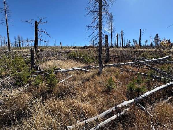 1.86 Acres of Residential Land for Sale in Fort Garland, Colorado