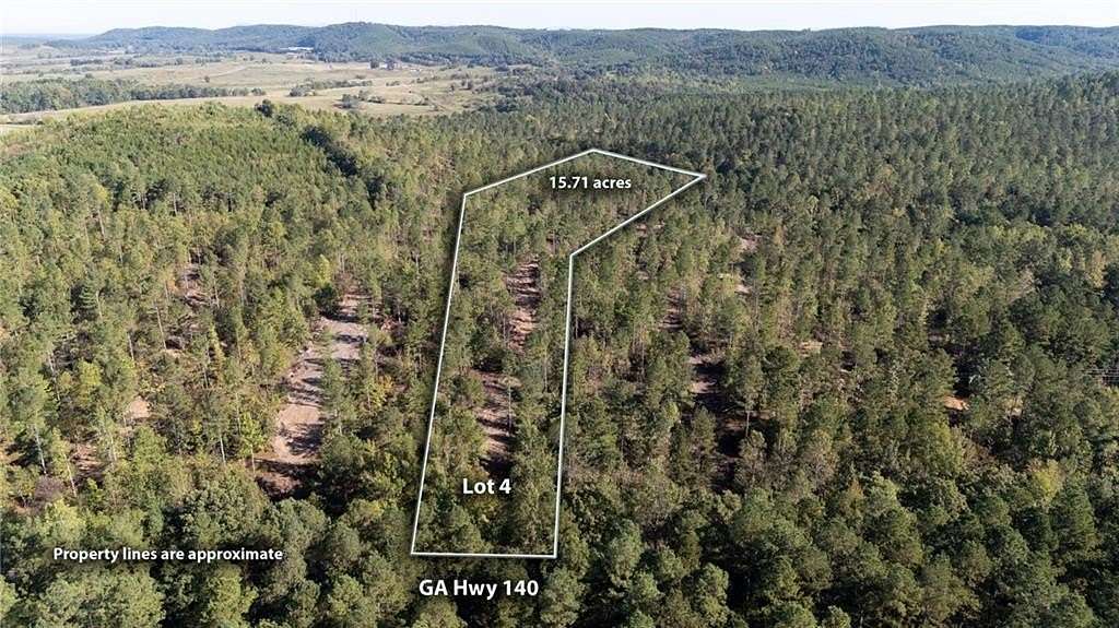 15.7 Acres of Land for Sale in Rydal, Georgia
