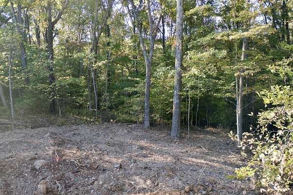6.55 Acres of Residential Land for Sale in Fairview, Tennessee