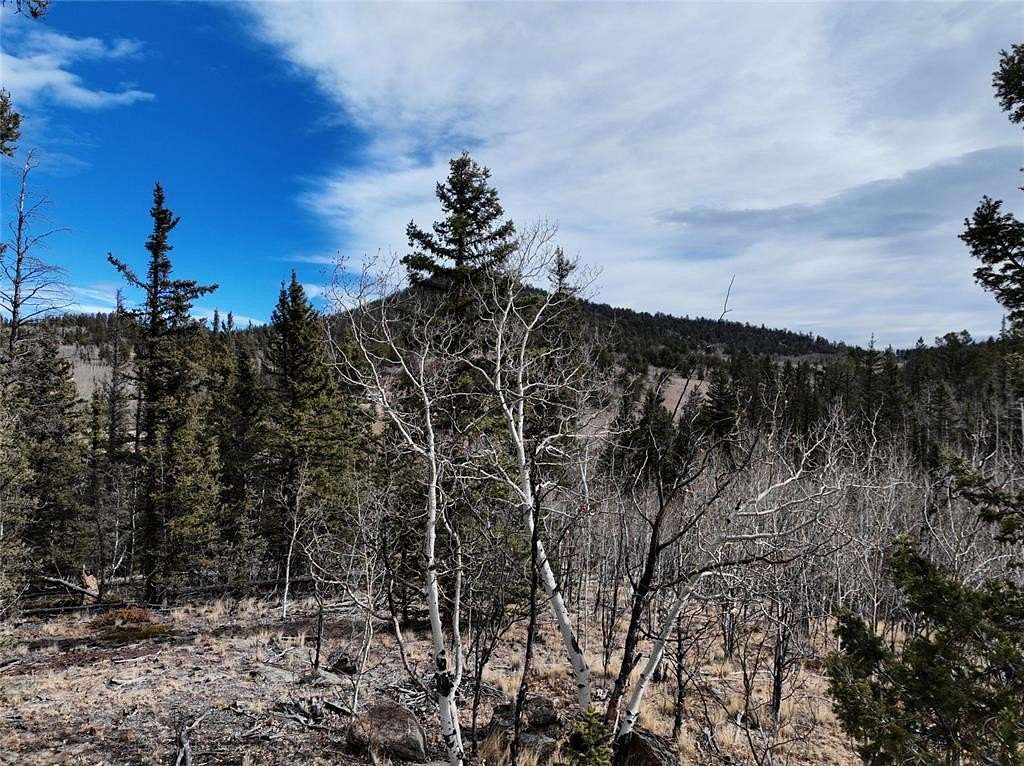 2 Acres of Residential Land for Sale in Como, Colorado