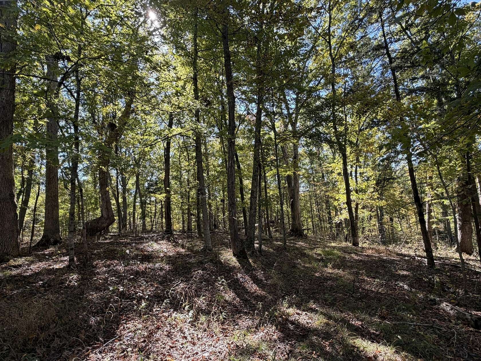 157 Acres of Land for Sale in Lawrenceburg, Kentucky