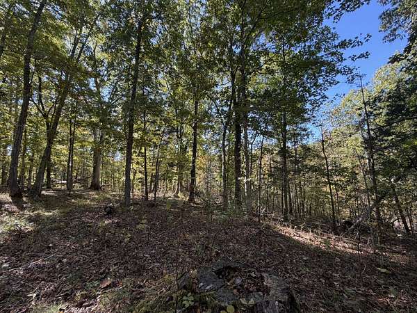 157 Acres of Recreational Land & Farm for Sale in Lawrenceburg, Kentucky