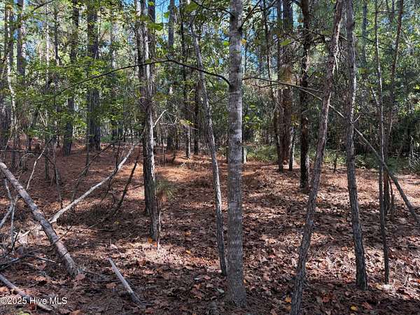 0.46 Acres of Residential Land for Sale in West End, North Carolina