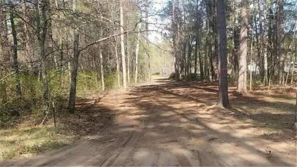 5 Acres of Residential Land for Sale in Ideal Township, Minnesota