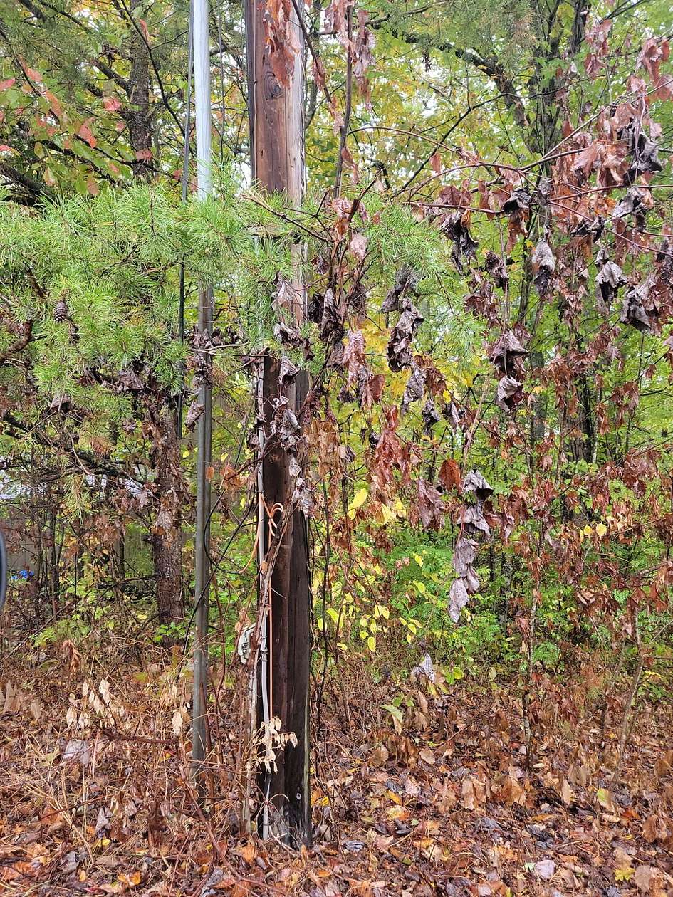 1.4 Acres of Residential Land for Sale in Corbin, Kentucky