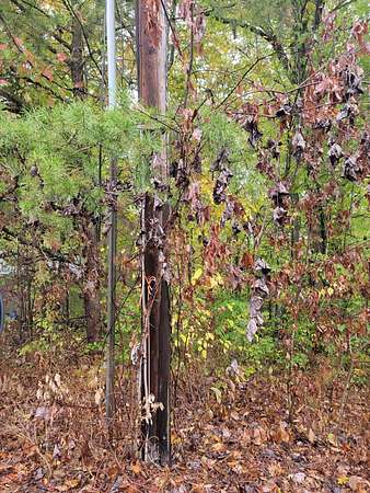 1.4 Acres of Residential Land for Sale in Corbin, Kentucky