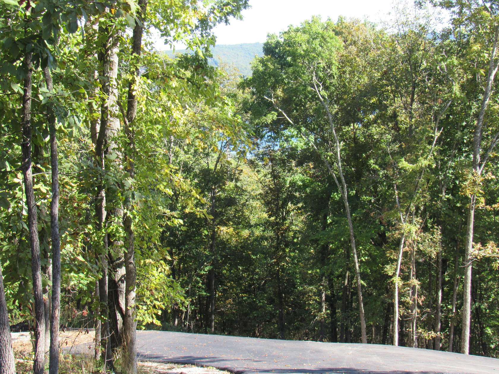 2.44 Acres of Residential Land for Sale in Branson West, Missouri