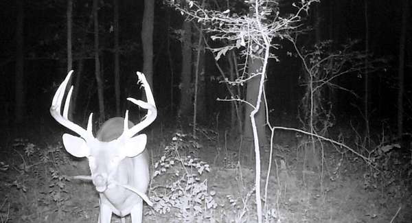 121 Acres of Recreational Land for Sale in Nancy, Kentucky