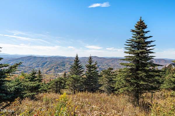 4 Acres of Residential Land for Sale in Trade, Tennessee