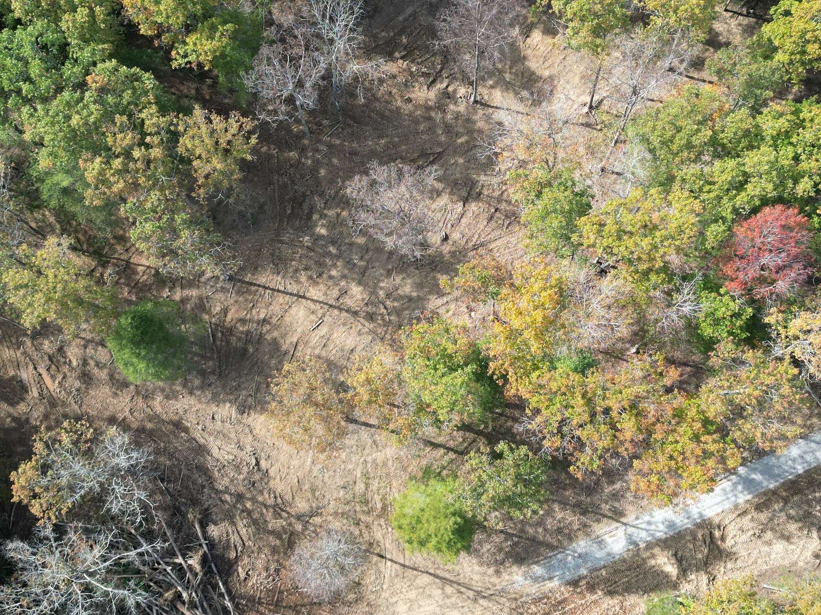 17.5 Acres of Land for Sale in Crossville, Tennessee