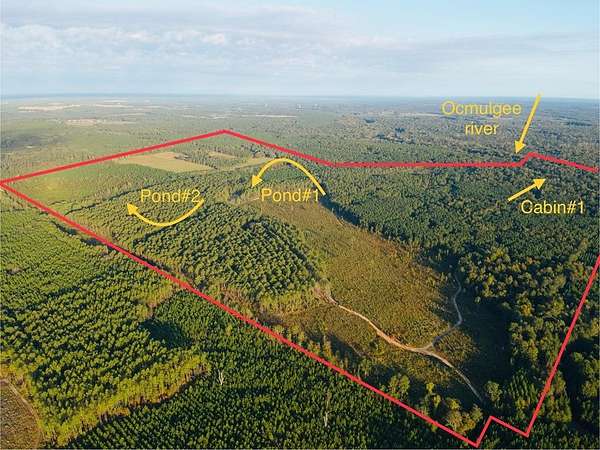 400 Acres of Recreational Land & Farm for Sale in Abbeville, Georgia