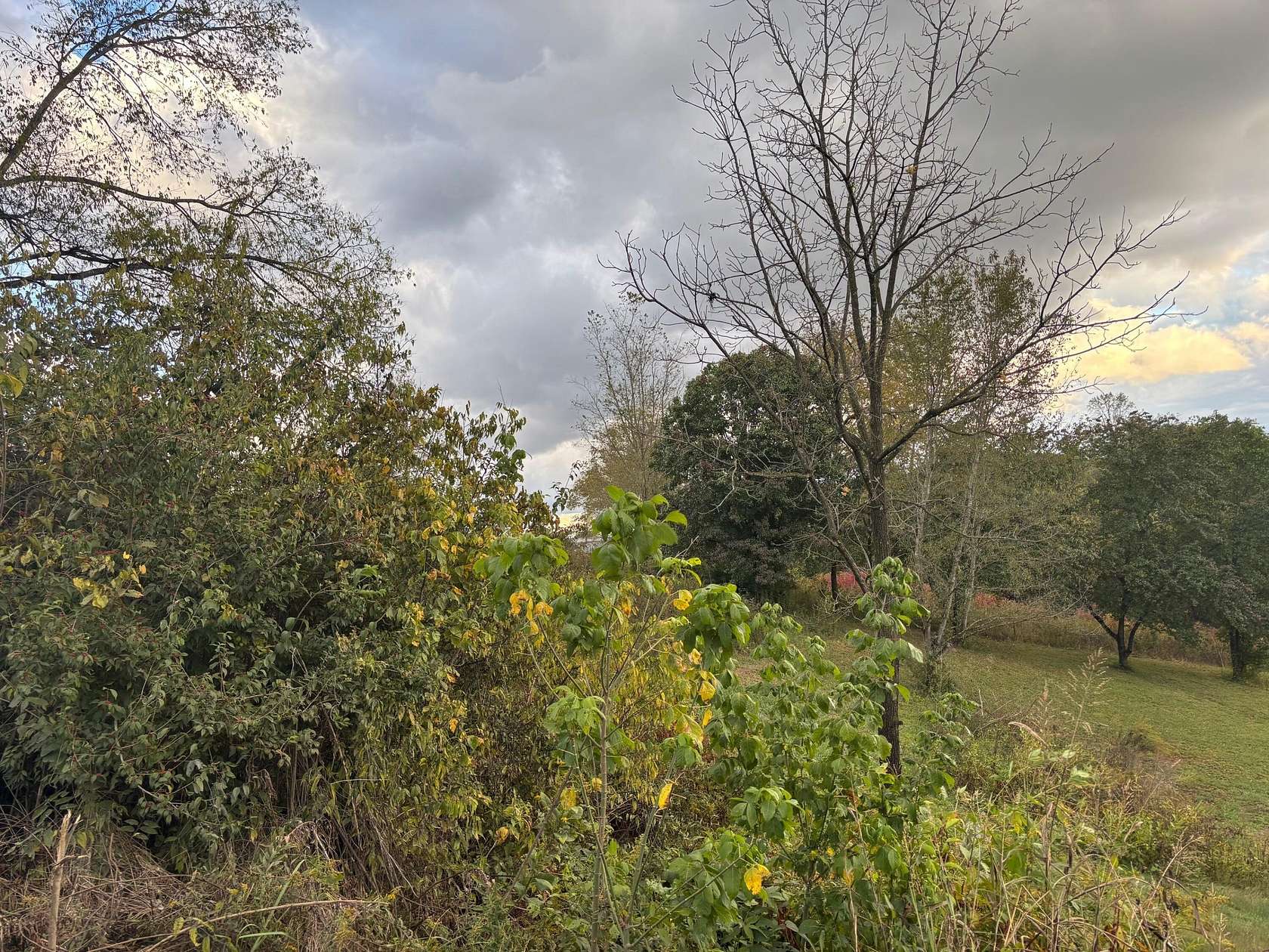 1.14 Acres of Residential Land for Sale in New Market, Tennessee