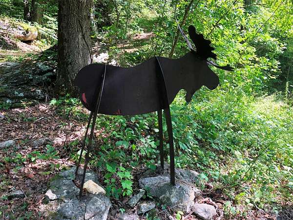 11.8 Acres of Land for Sale in Waynesville, North Carolina