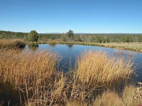 158 Acres of Land with Home for Sale in Norwood, Colorado