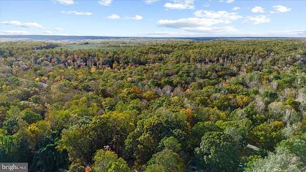 11.8 Acres of Land for Sale in Falmouth, Virginia