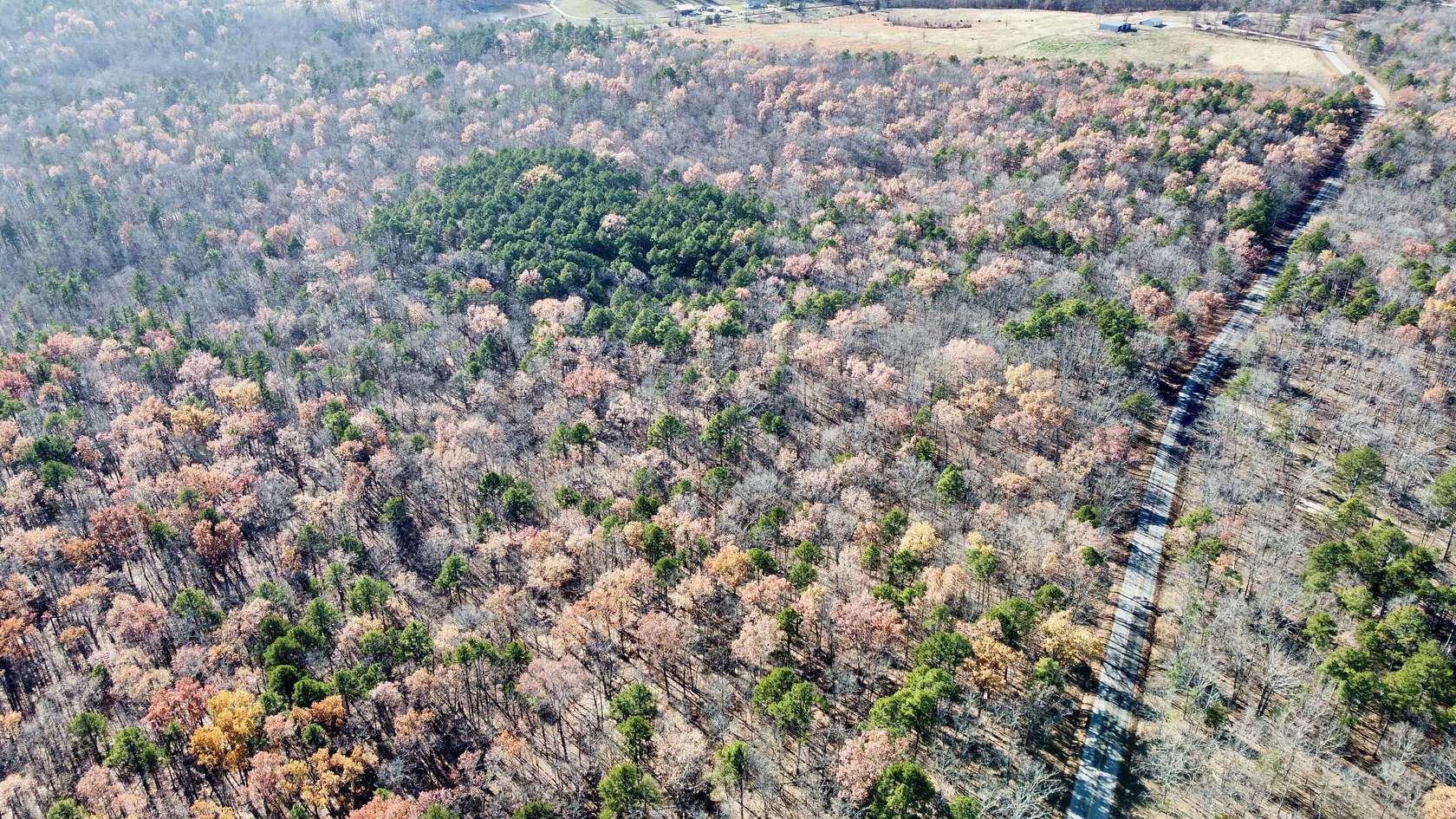 30 Acres of Recreational Land for Sale in Jackson Township, Missouri