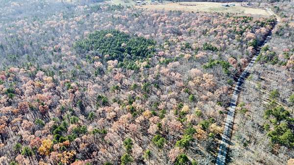 30 Acres of Recreational Land for Sale in Jackson Township, Missouri