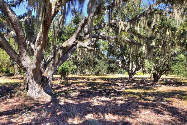 7.2 Acres of Land for Sale in Lithia, Florida