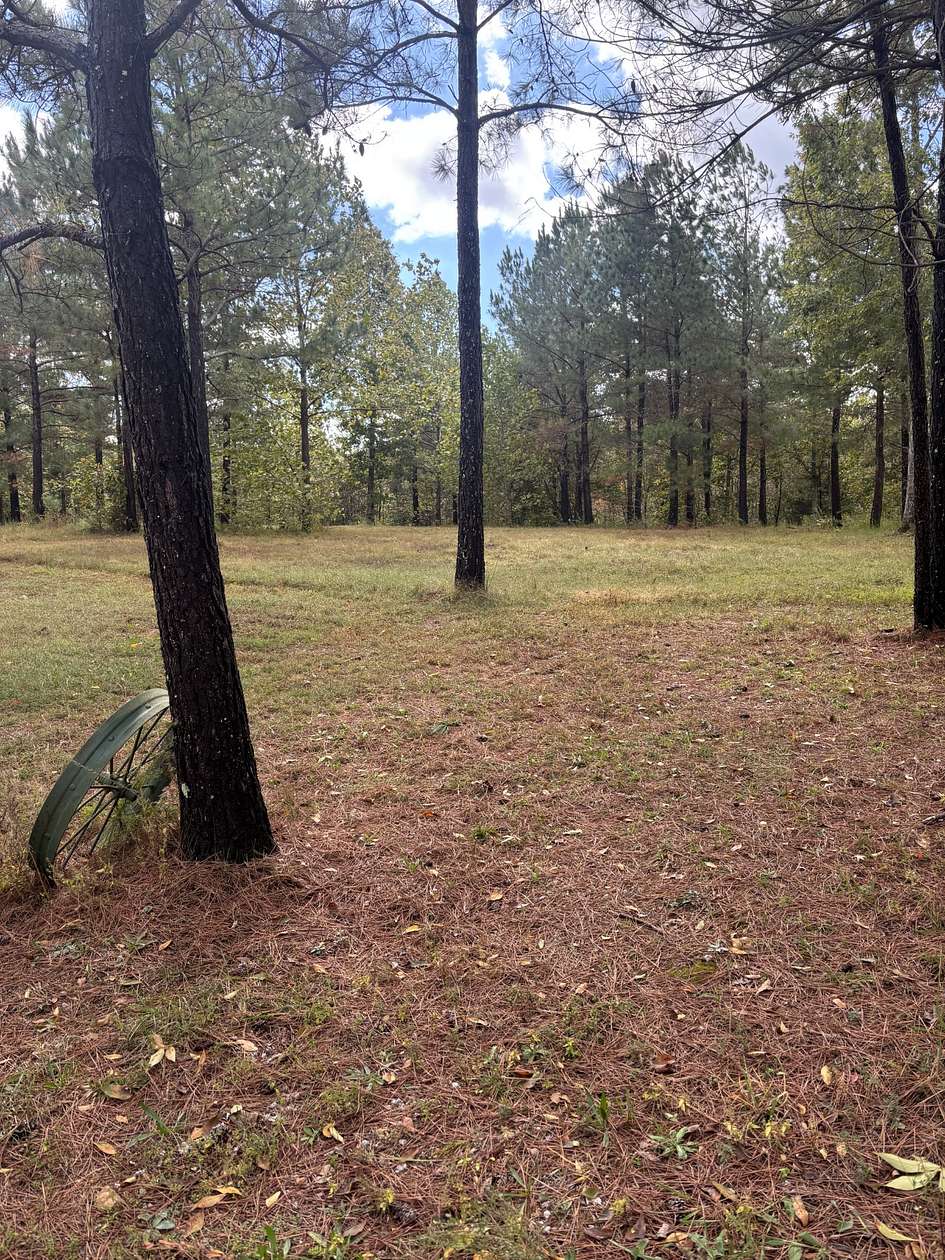 12 Acres of Land for Sale in Mount Pleasant, Tennessee