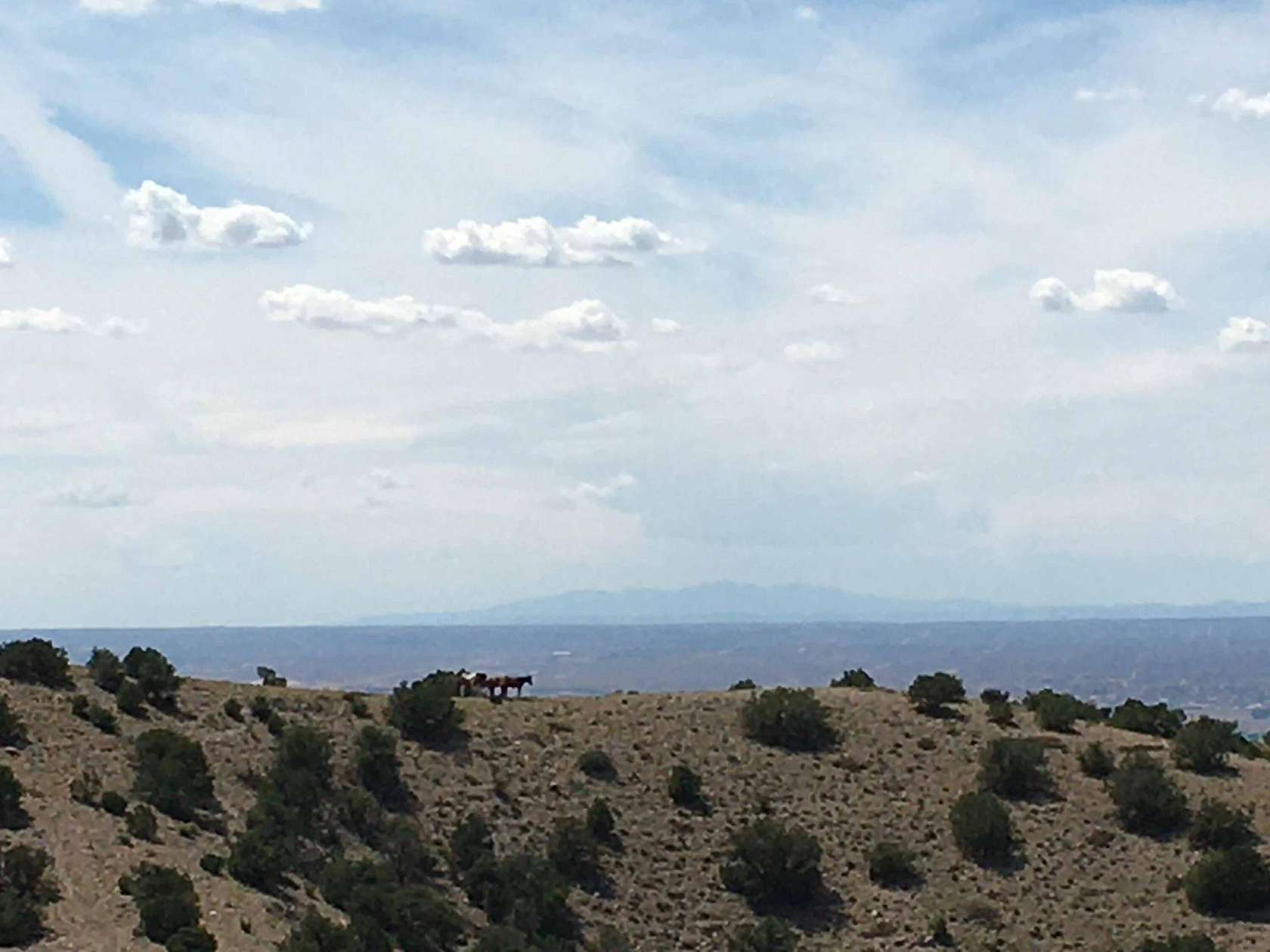 3.63 Acres of Land for Sale in Placitas, New Mexico