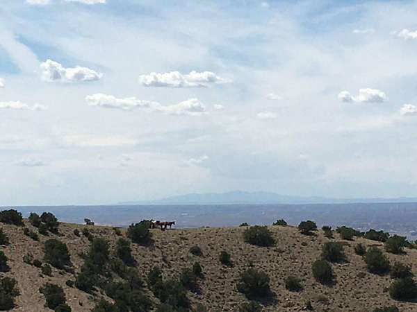 3.63 Acres of Land for Sale in Placitas, New Mexico