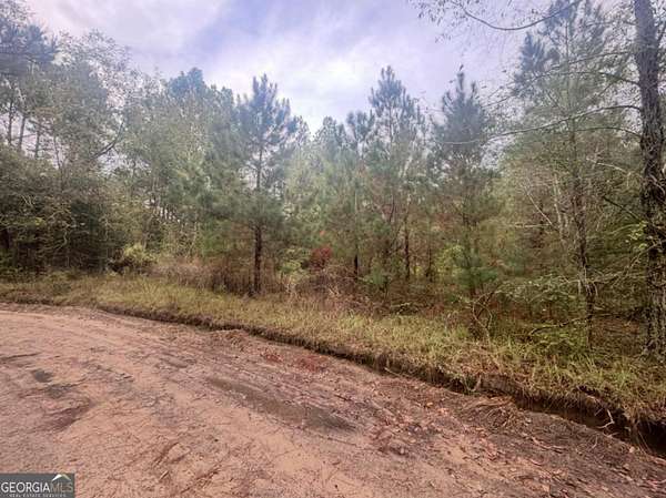 1 Acre of Land for Sale in Cordele, Georgia