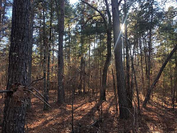 80 Acres of Recreational & Residential Land for Sale in Plain Dealing, Louisiana
