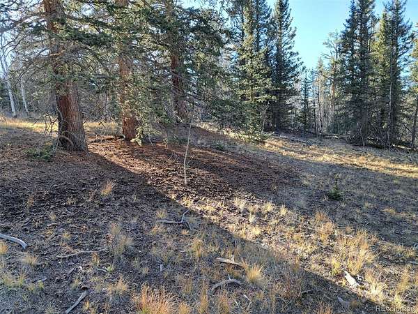 3 Acres of Residential Land for Sale in Como, Colorado