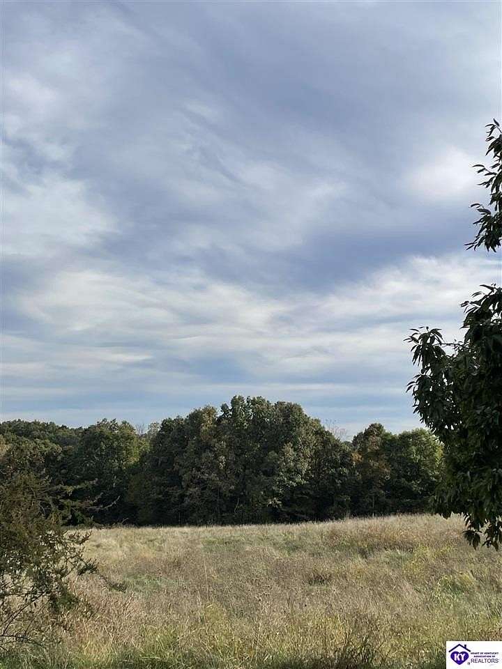 45.2 Acres of Agricultural Land with Home for Sale in Eastview, Kentucky