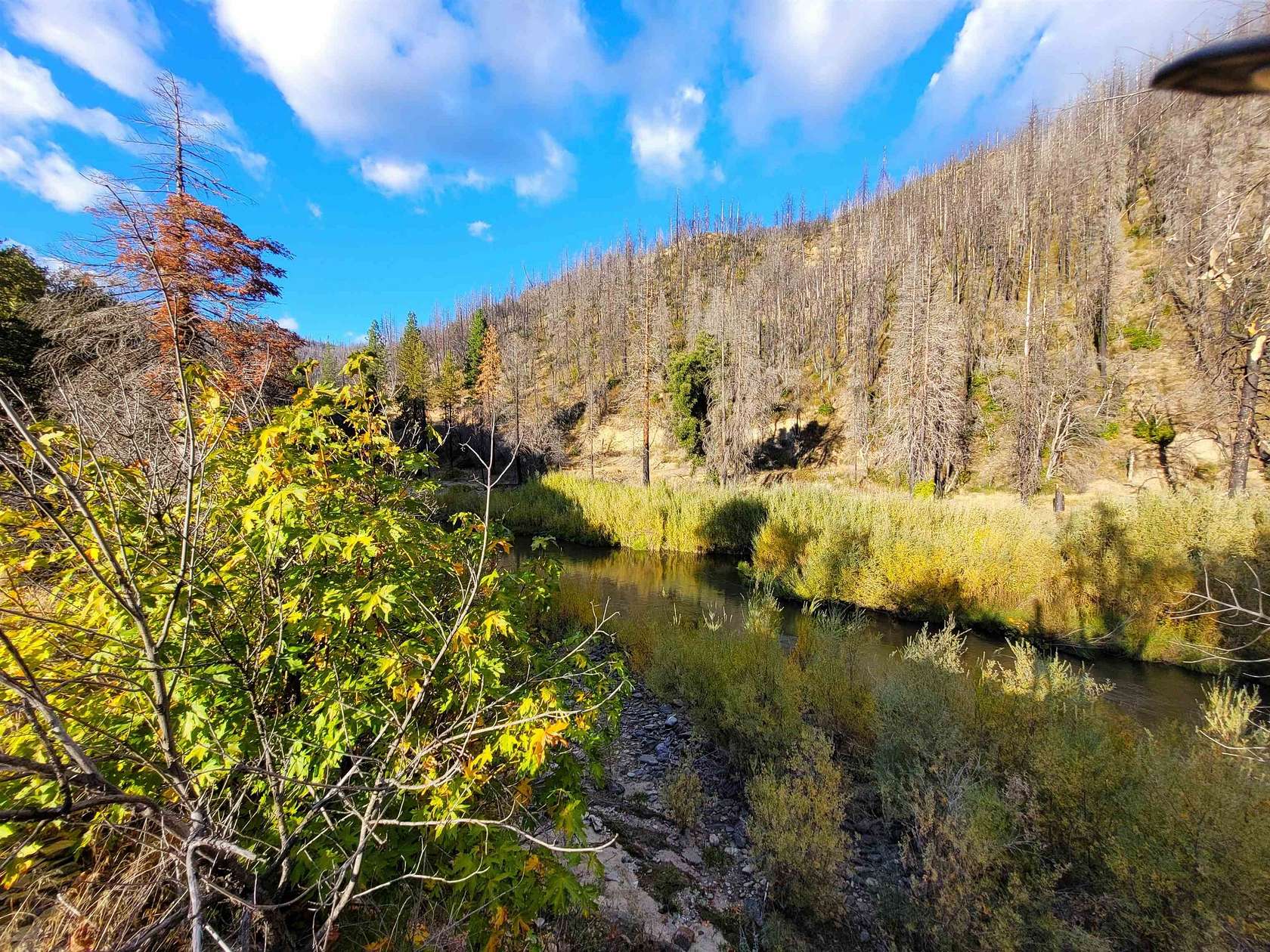 66 Acres of Land for Sale in Paxton, California