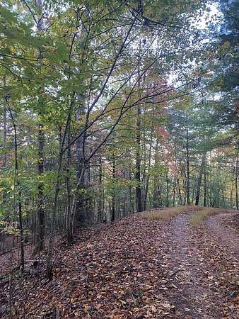 2.73 Acres of Land for Sale in Blairsville, Georgia