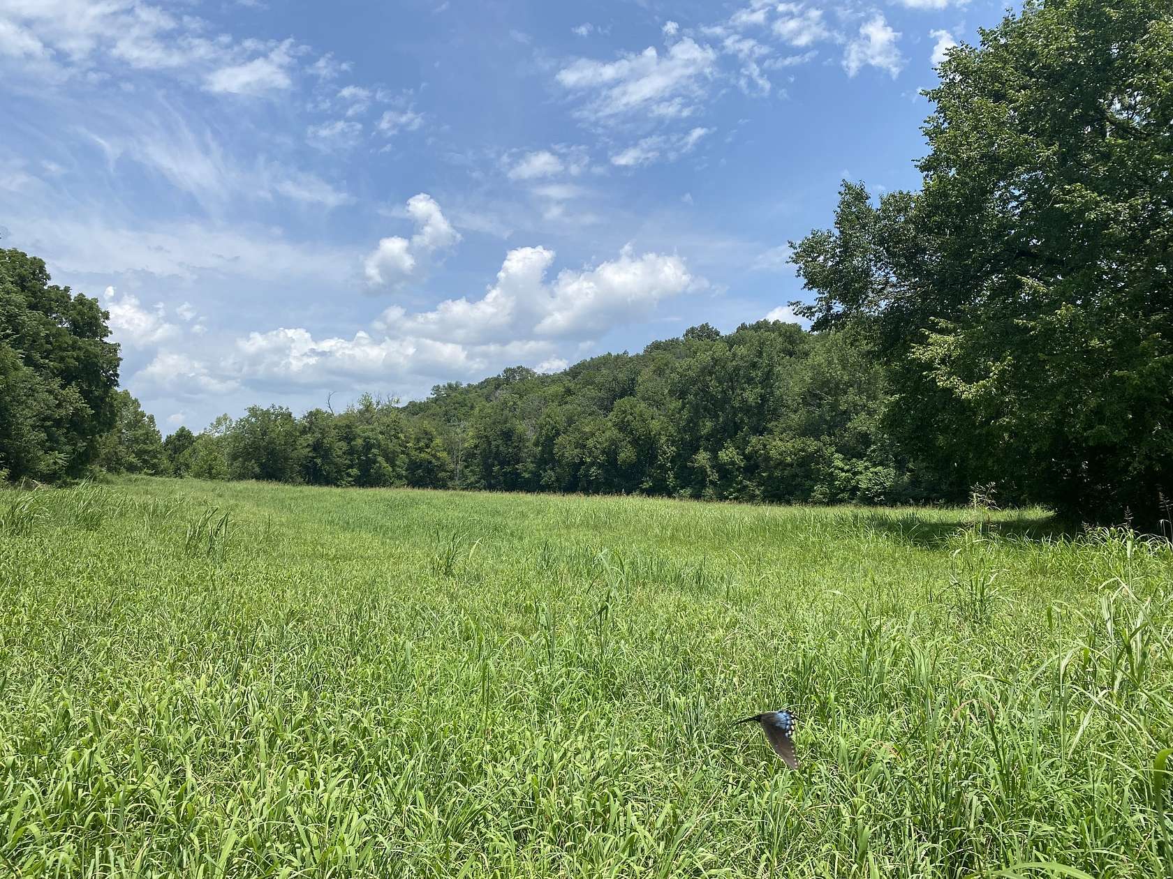 97 Acres of Recreational Land for Sale in Liberty, Tennessee