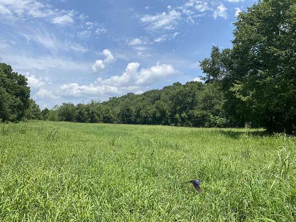 97 Acres of Recreational Land for Sale in Liberty, Tennessee