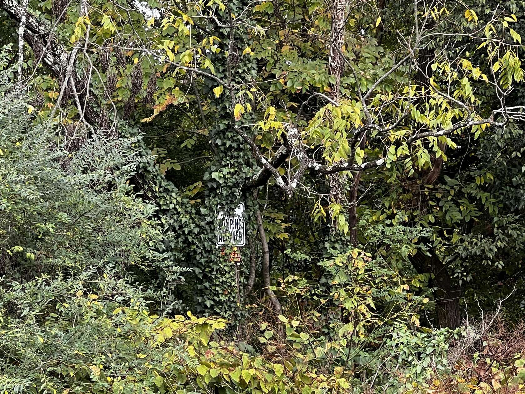 7.2 Acres of Land for Sale in Hixson, Tennessee