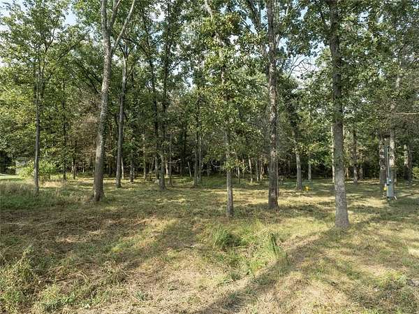 0.36 Acres of Residential Land for Sale in Murchison, Texas