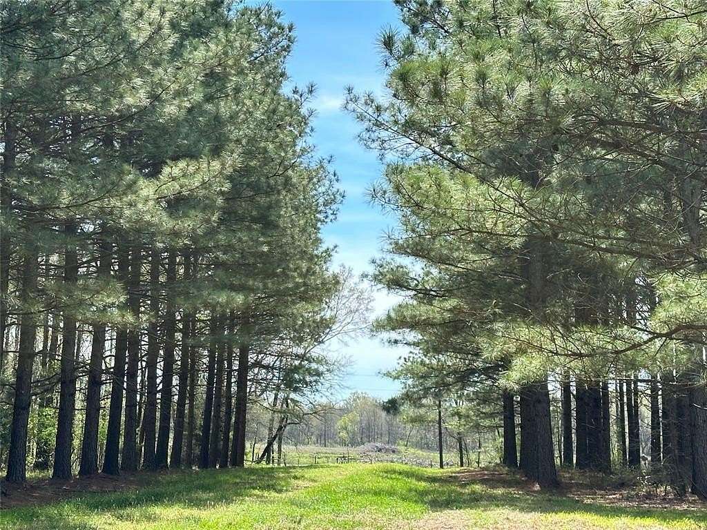 114 Acres of Improved Recreational Land for Sale in Idabel, Oklahoma